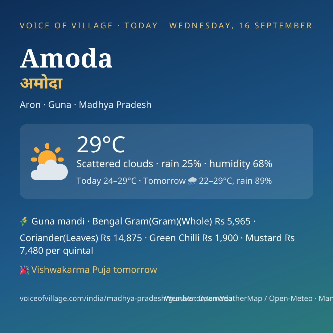 Amoda today