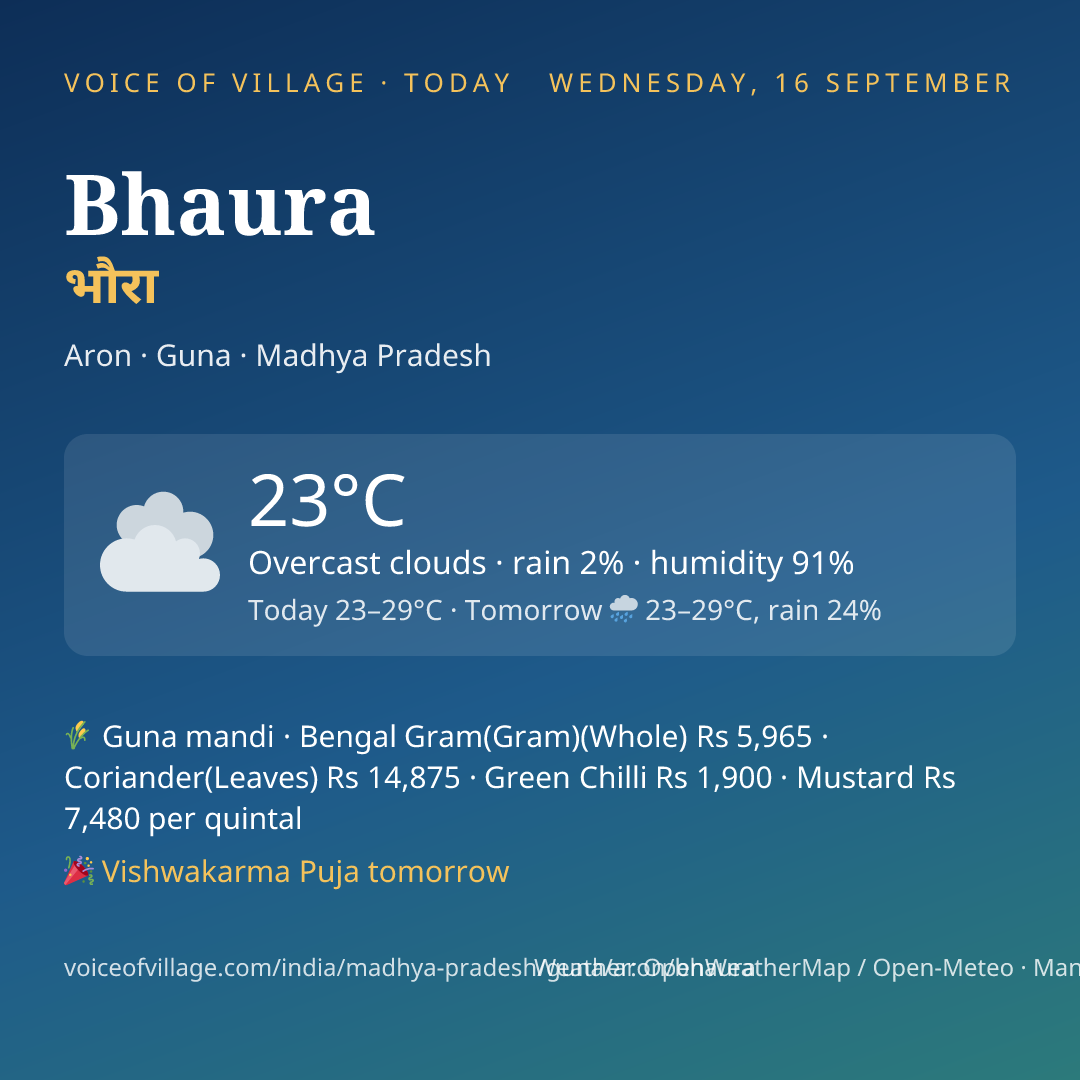 Bhaura today