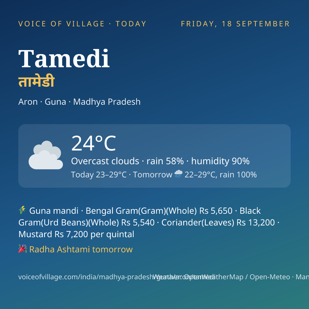 Tamedi today