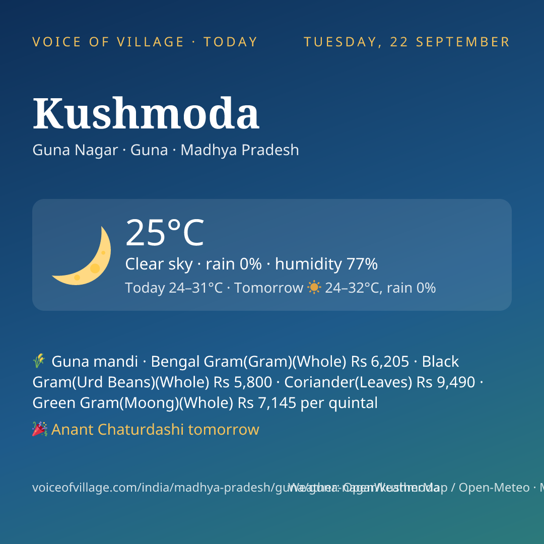 Kushmoda today