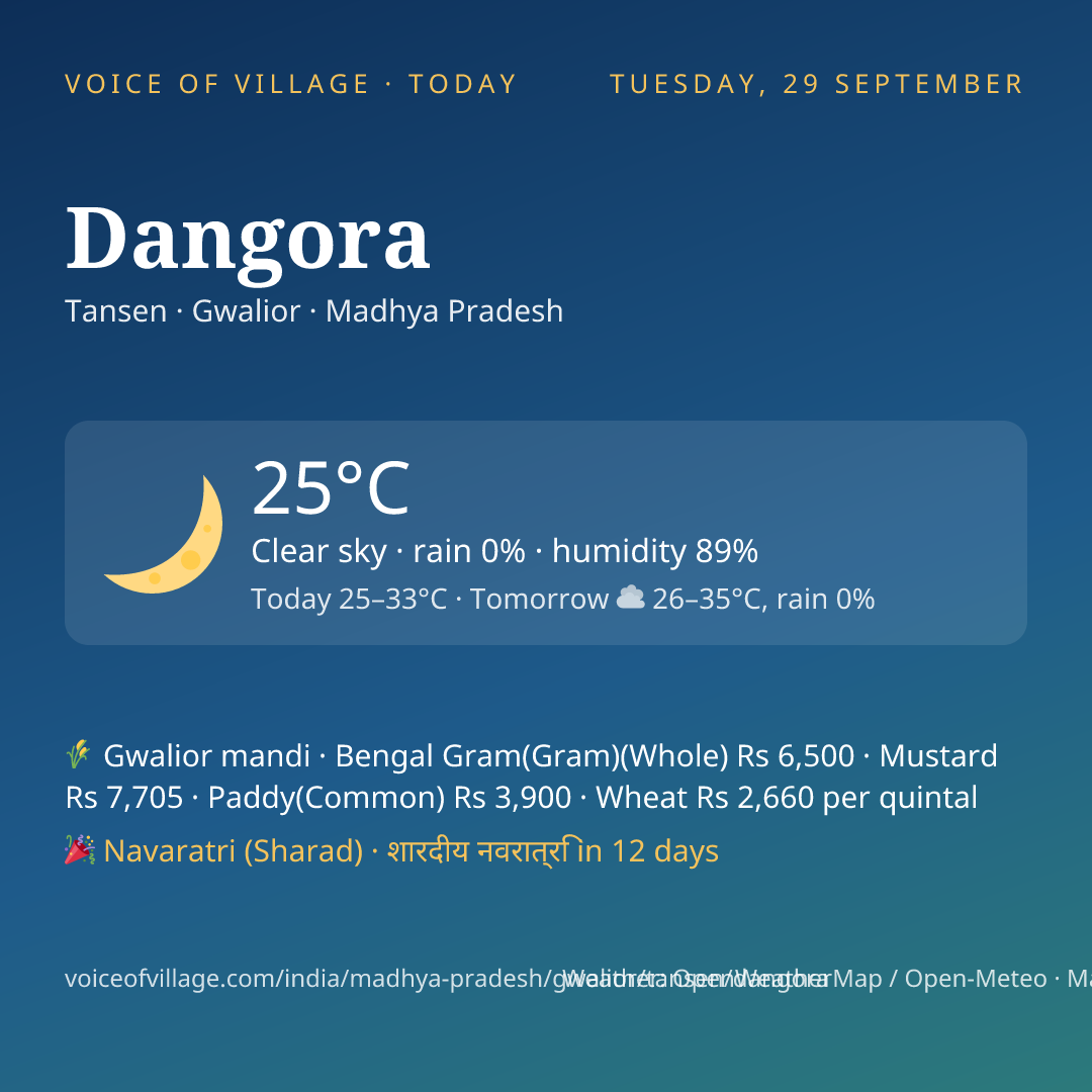 Dangora today