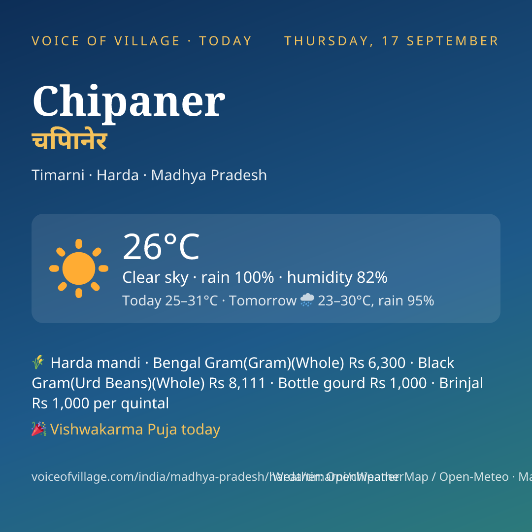 Chipaner today
