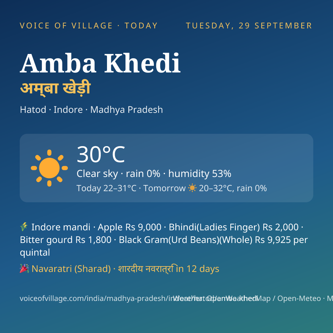 Amba Khedi today