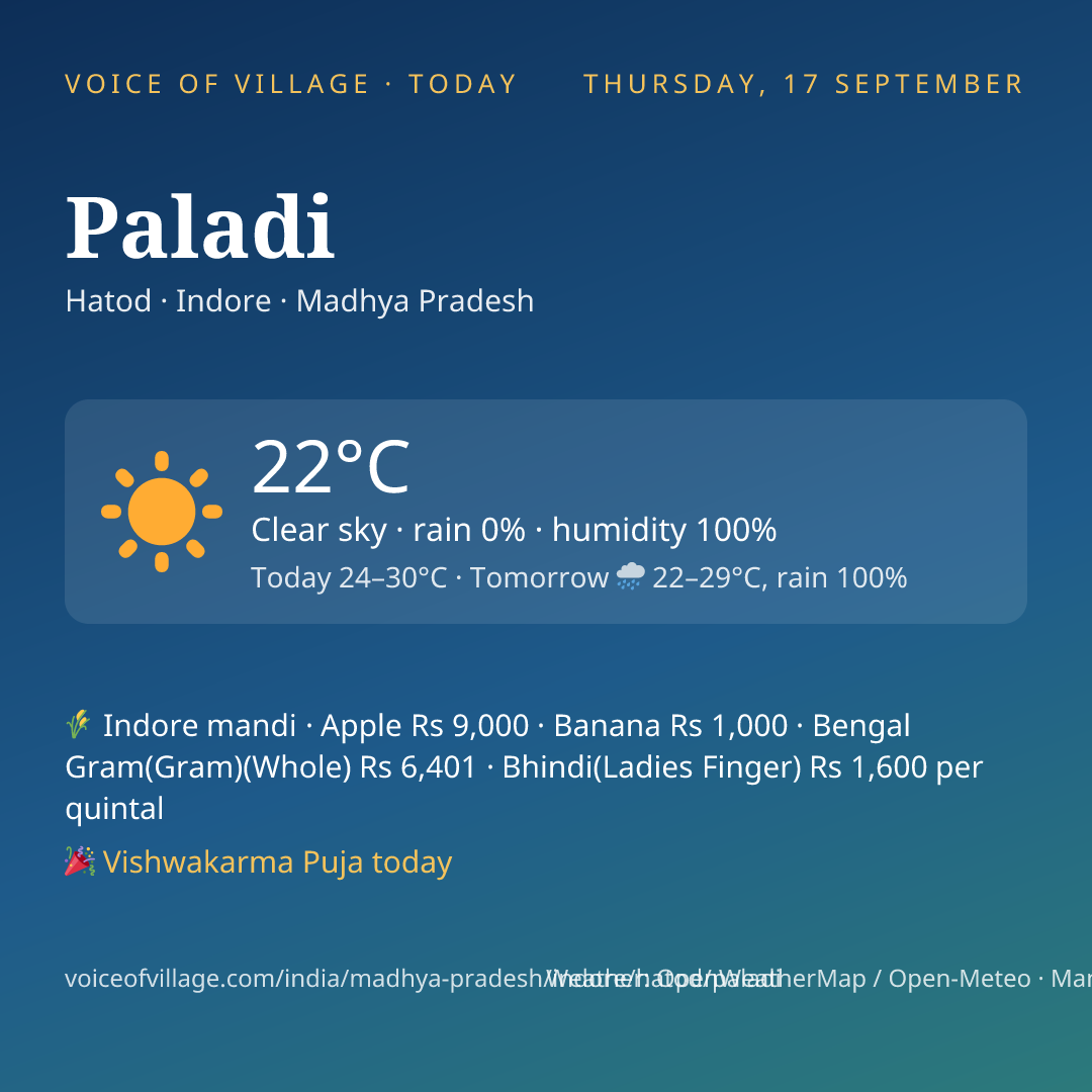 Paladi today