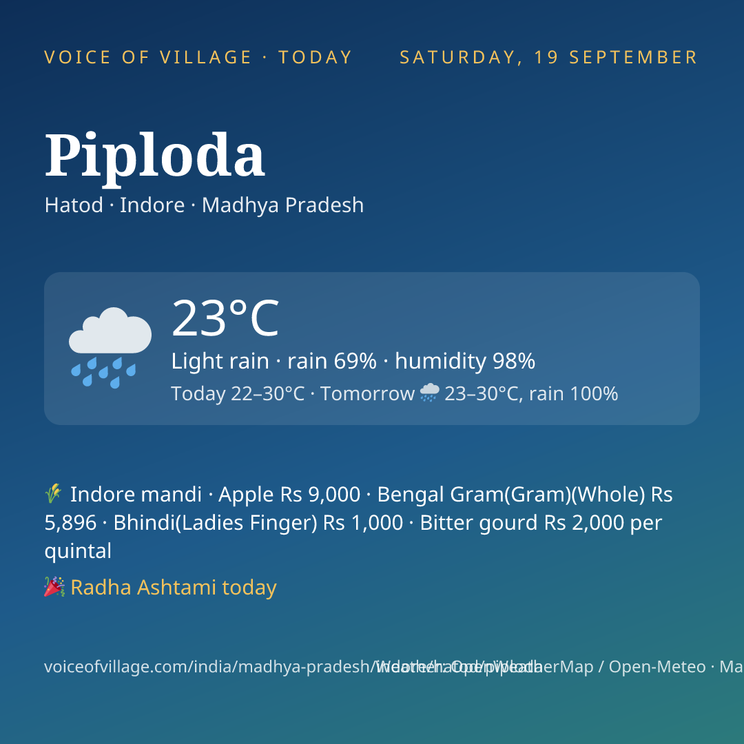 Piploda today