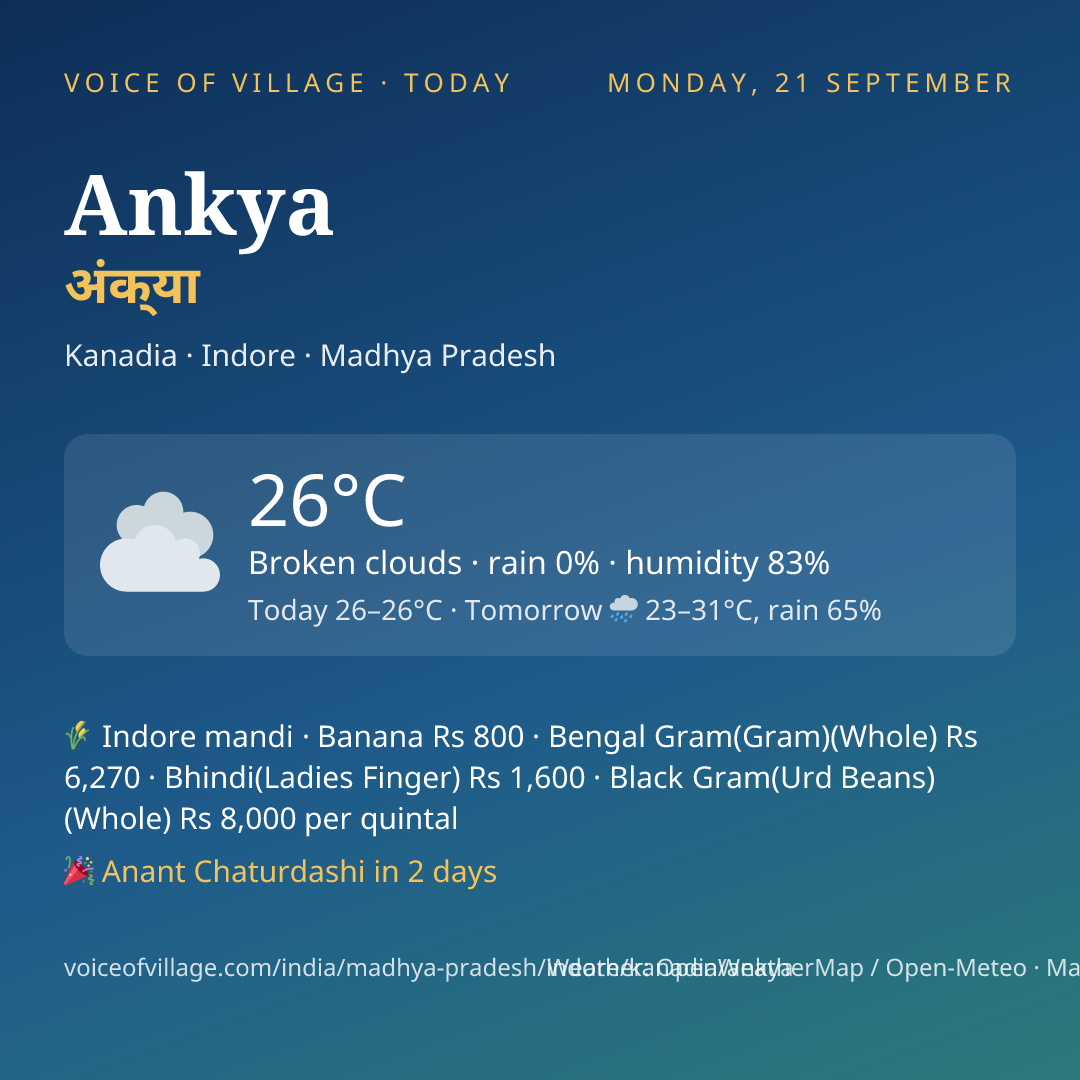 Ankya today