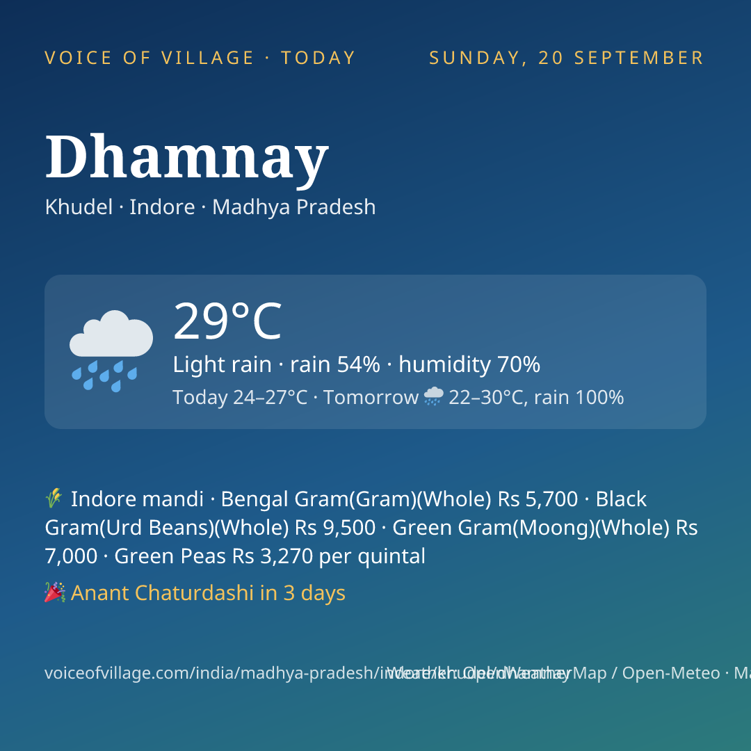 Dhamnay today
