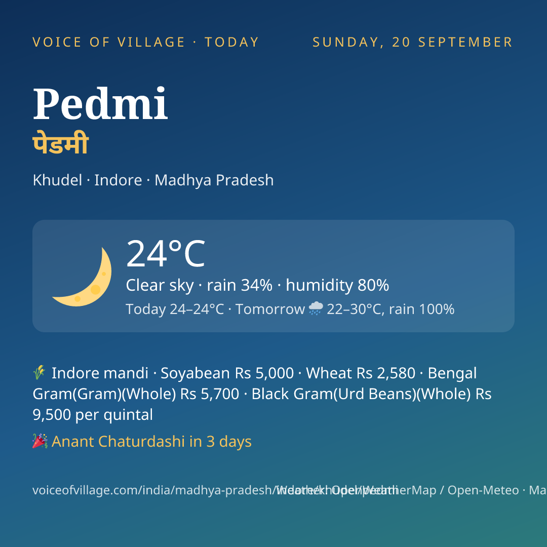Pedmi today