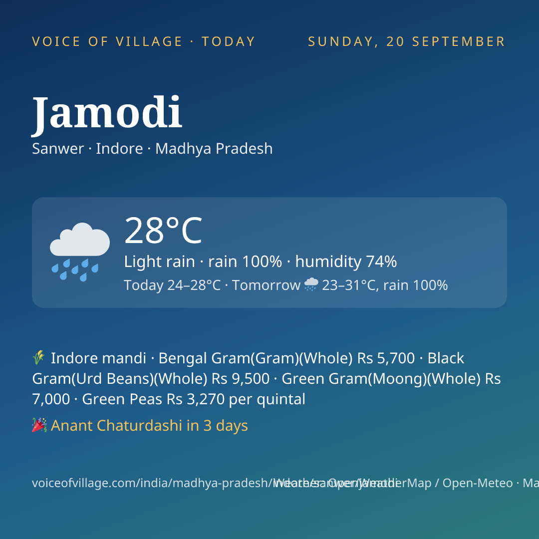 Jamodi today