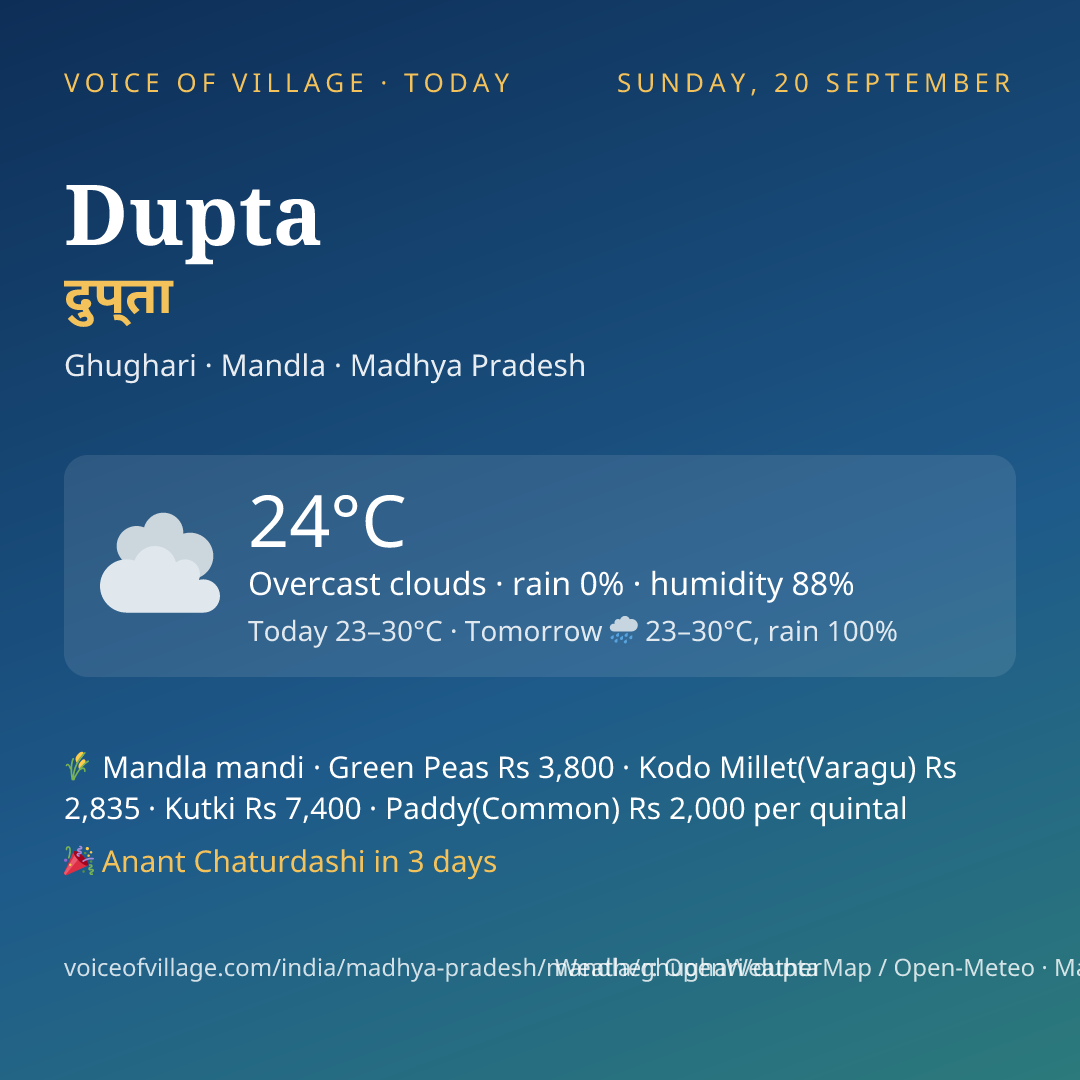 Dupta today