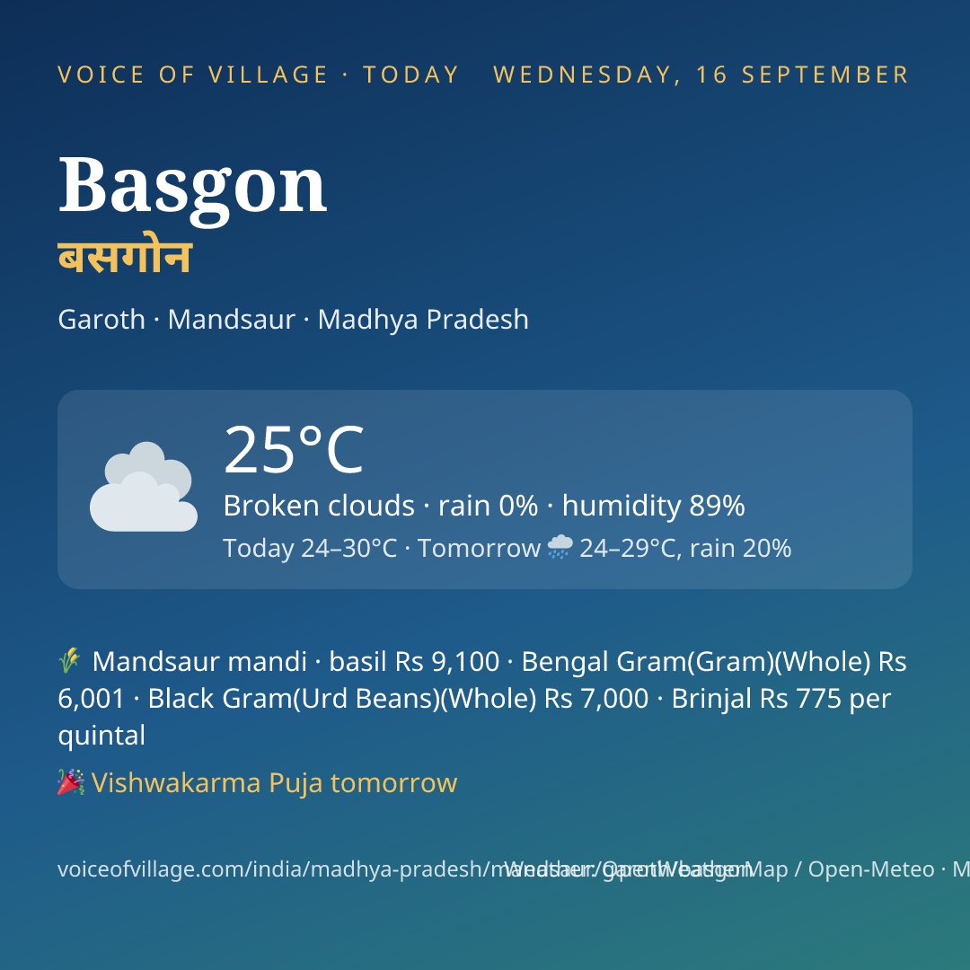 Basgon today