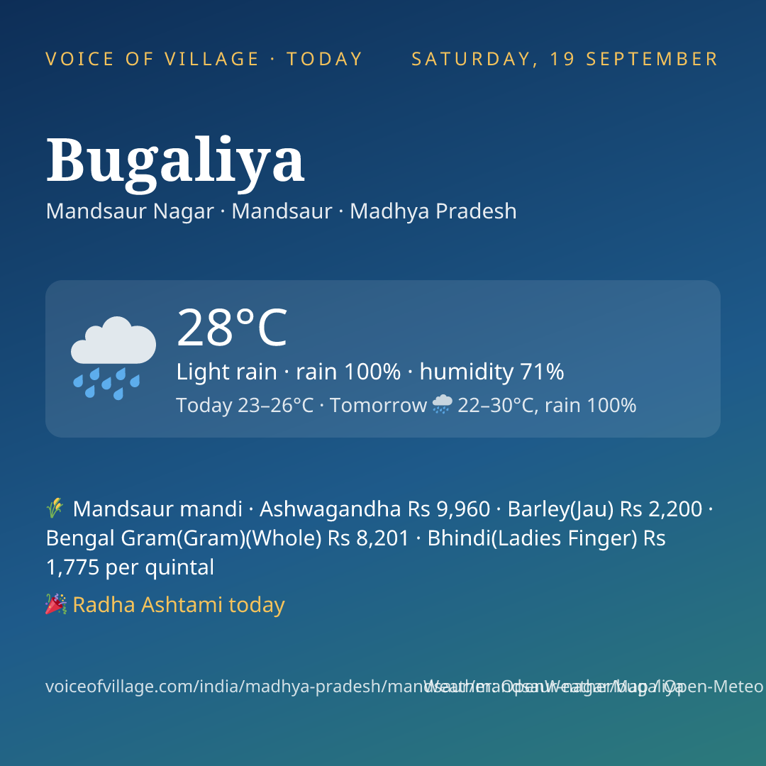 Bugaliya today