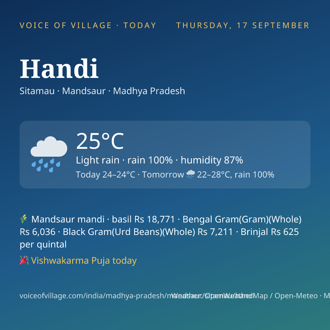 Handi today