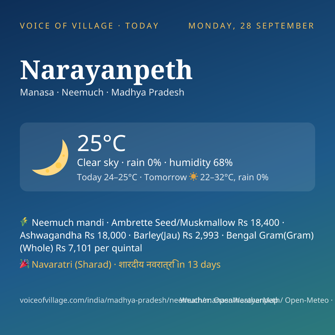 Narayanpeth today