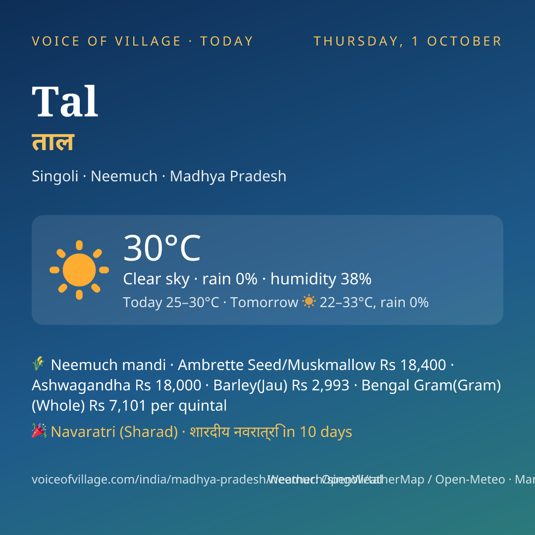 Tal today