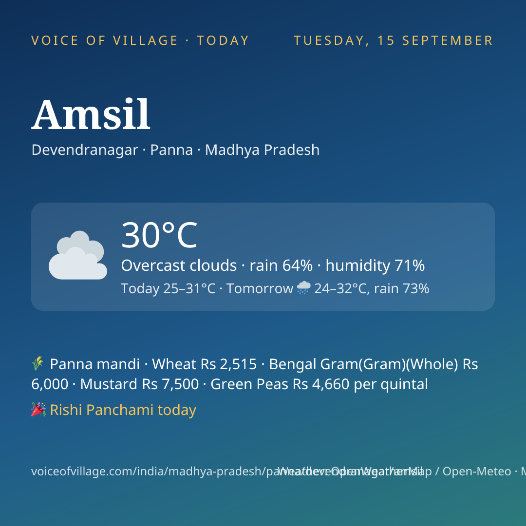 Amsil today