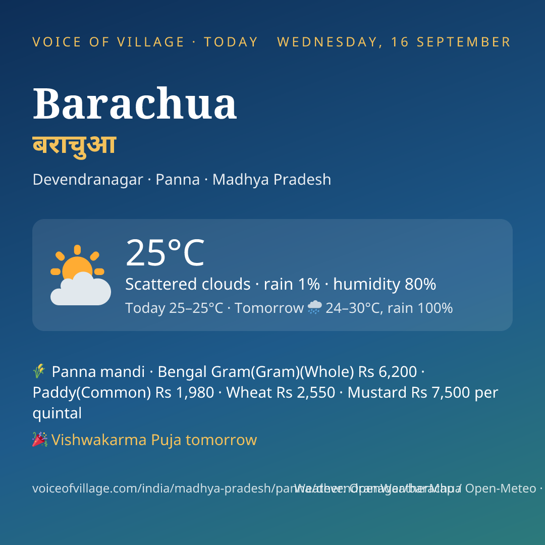 Barachua today