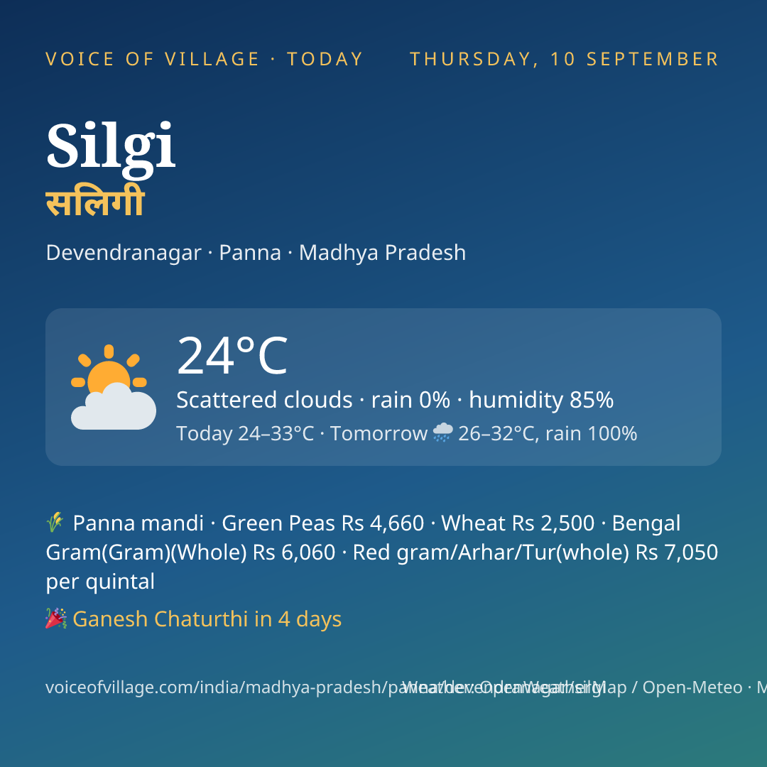 Silgi today