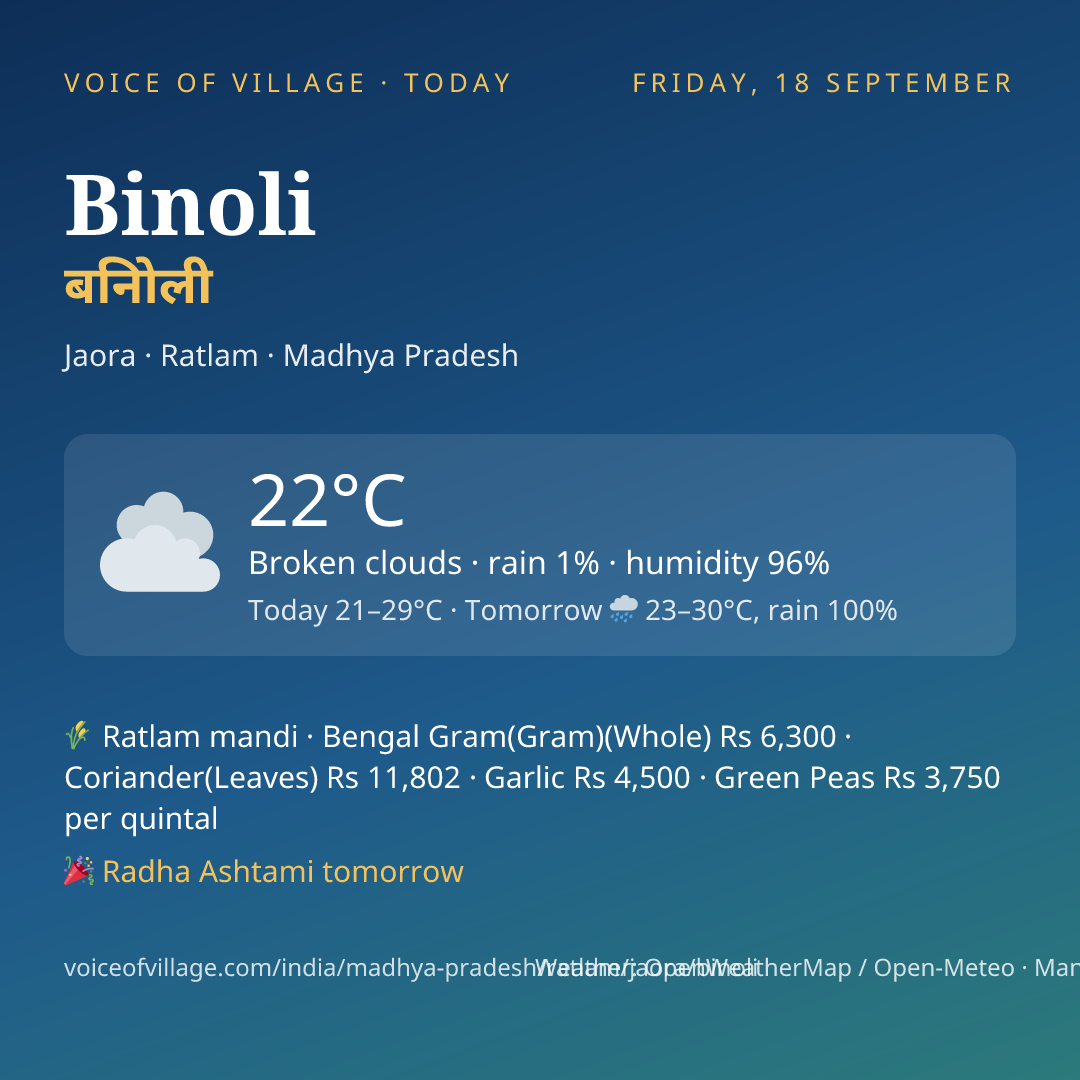 Binoli today