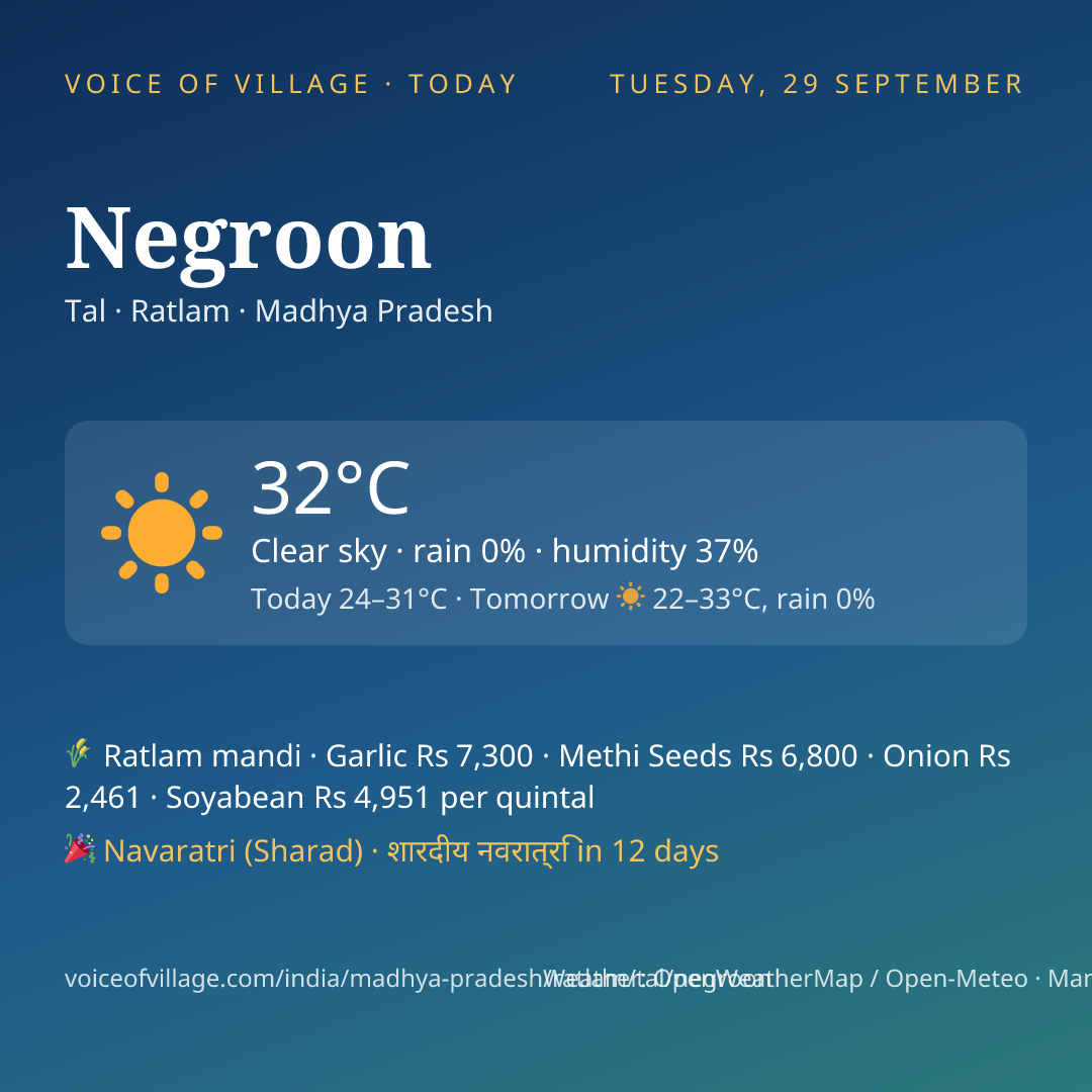 Negroon today
