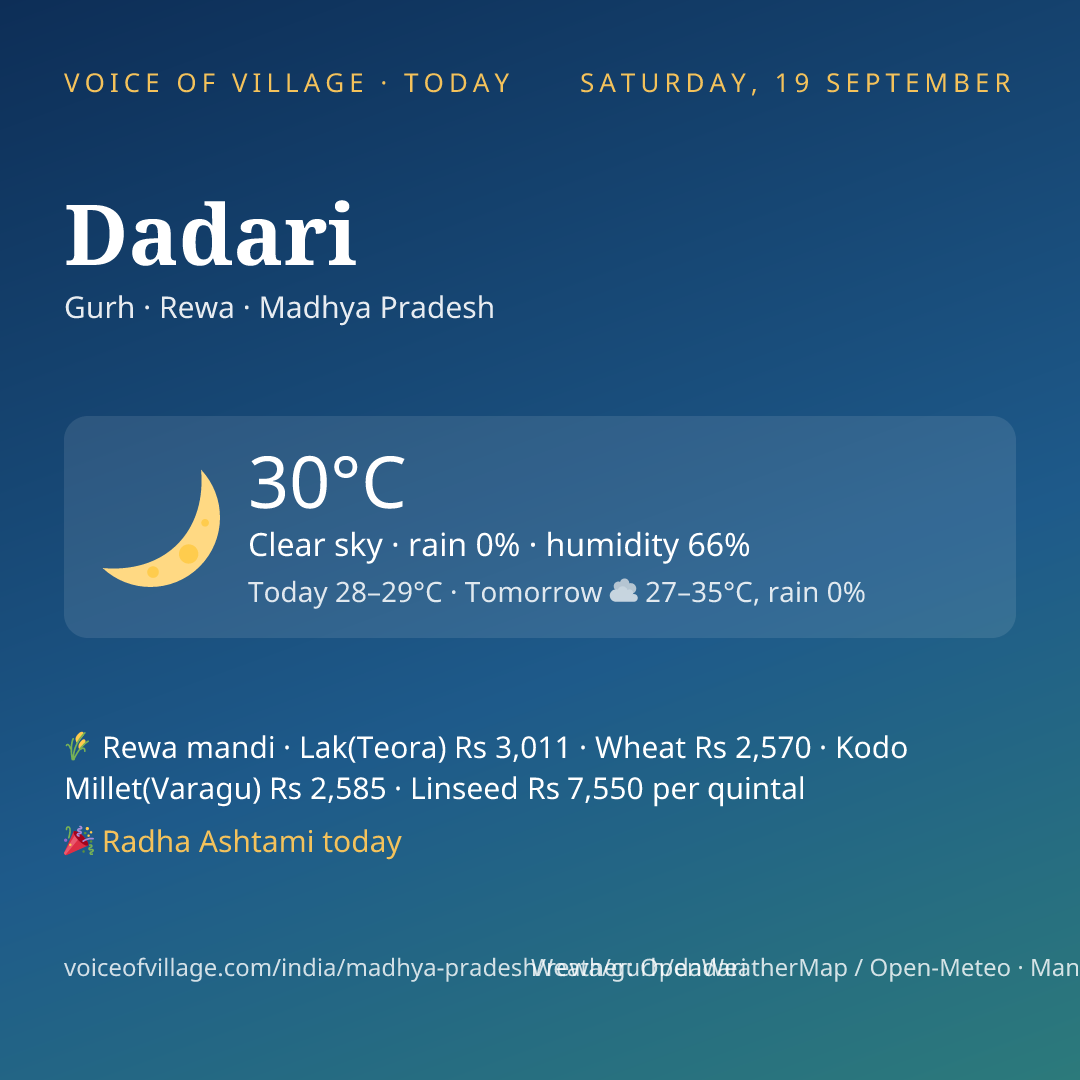Dadari today