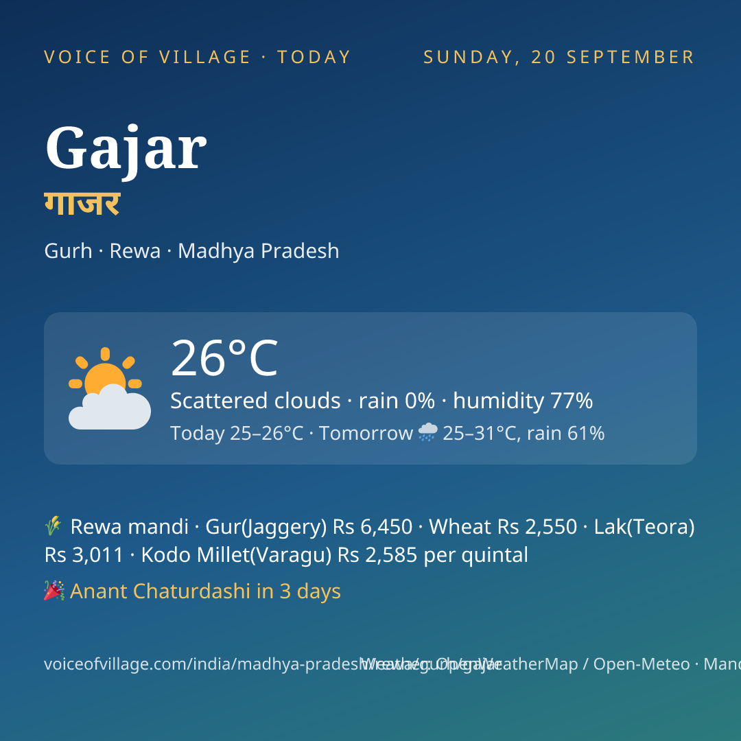 Gajar today