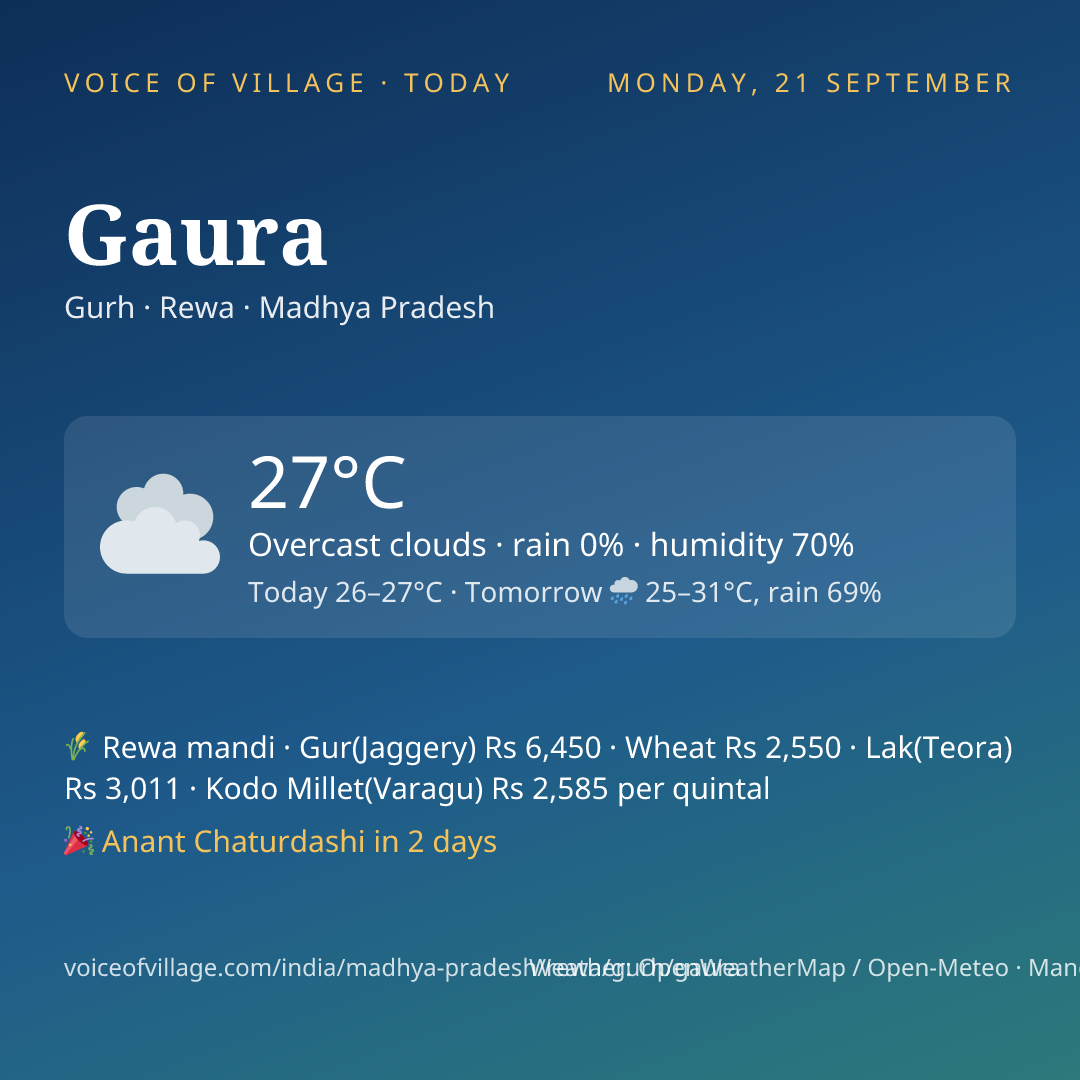 Gaura today