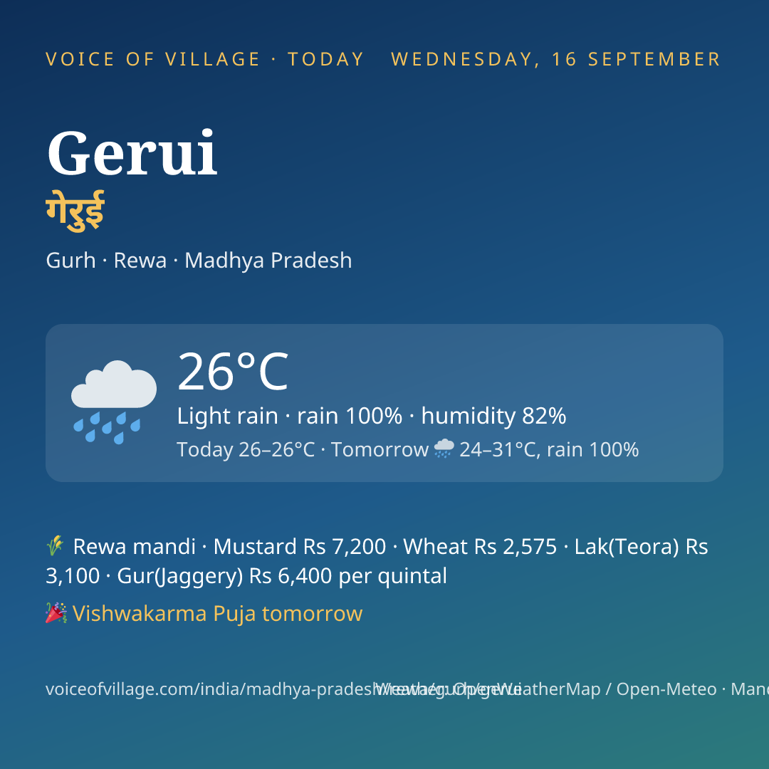 Gerui today