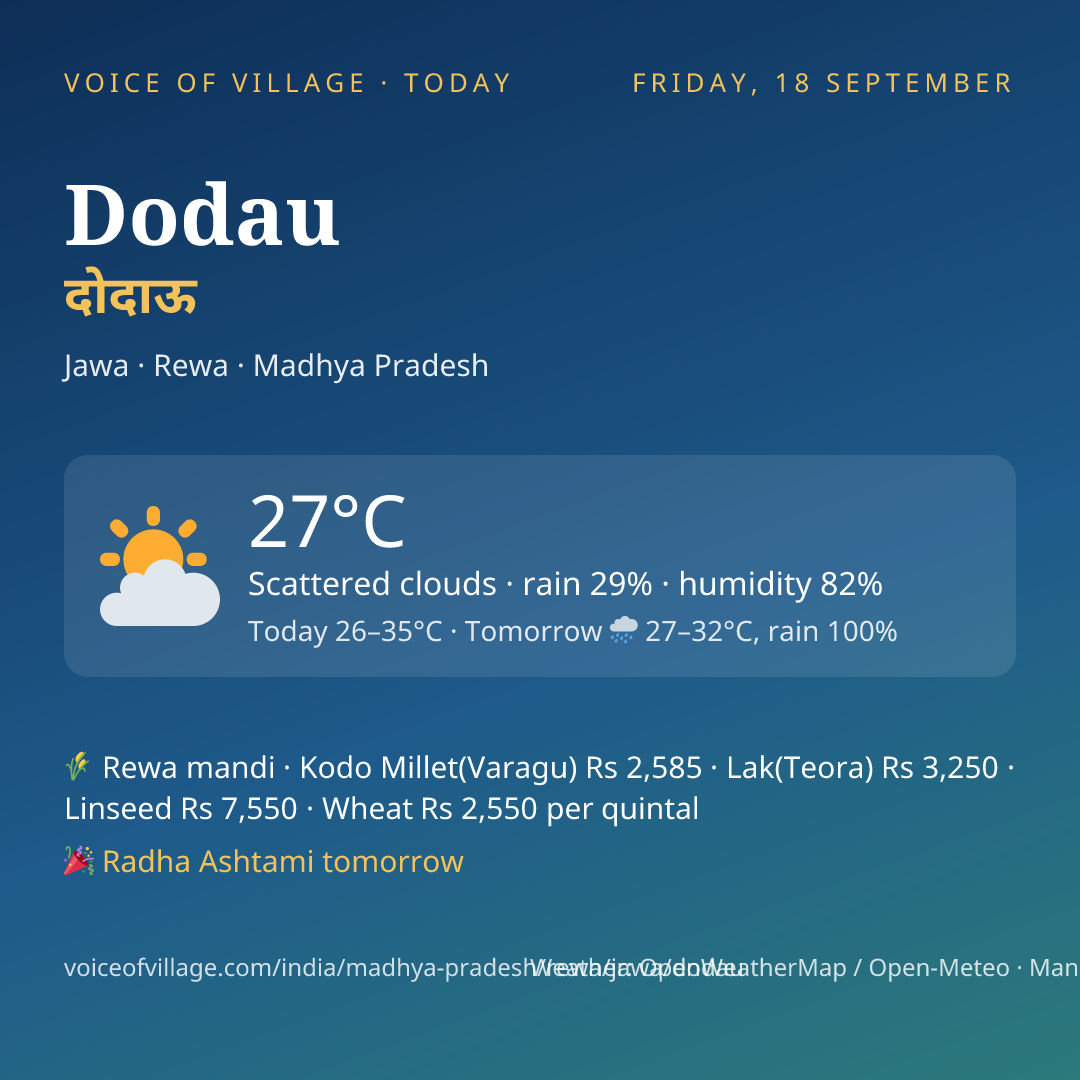 Dodau today