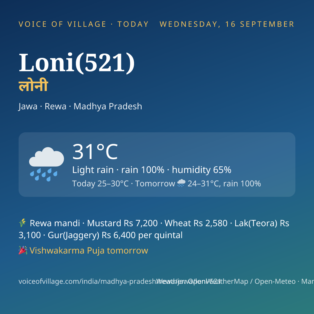 Loni(521) today