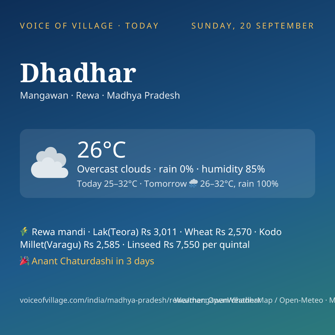 Dhadhar today