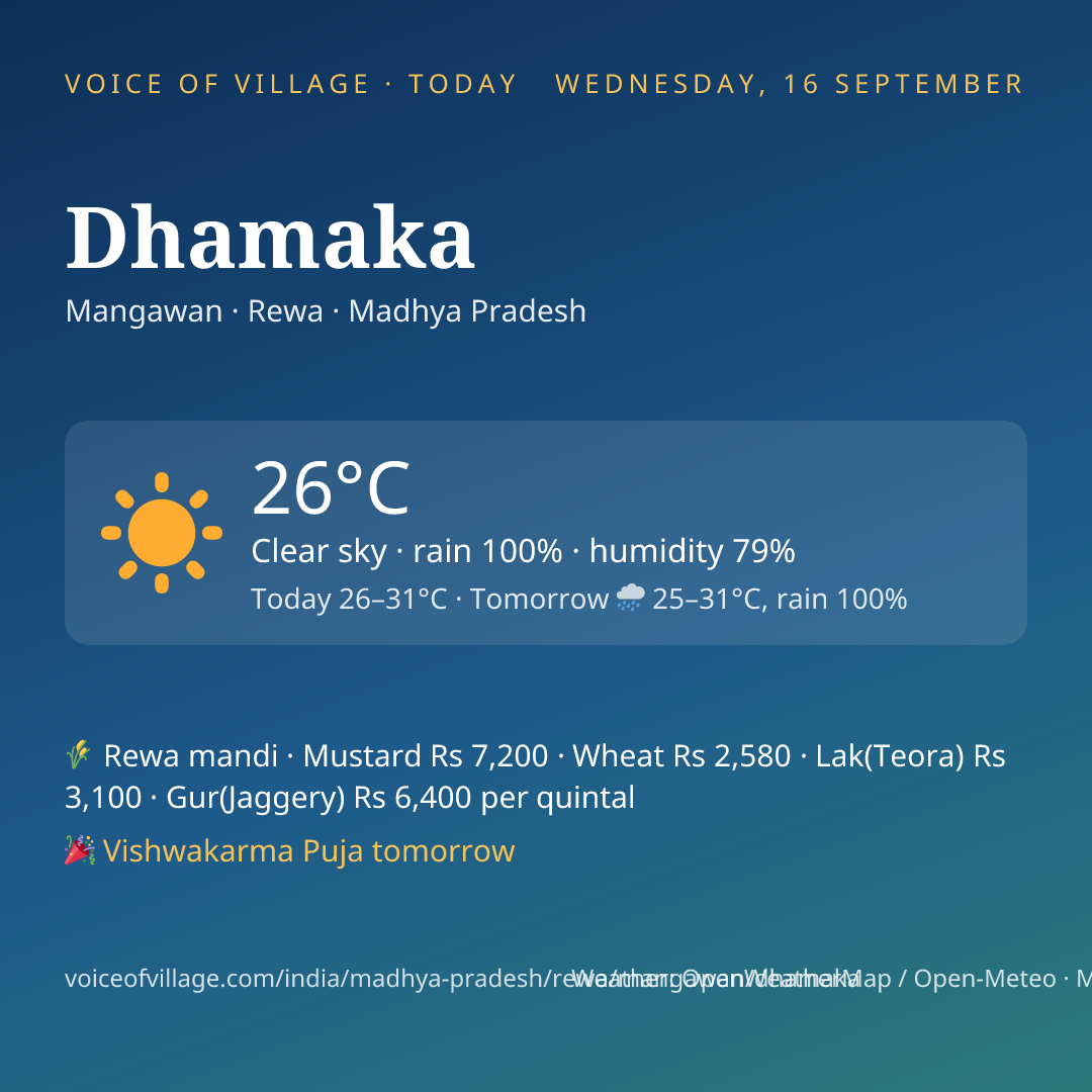Dhamaka today
