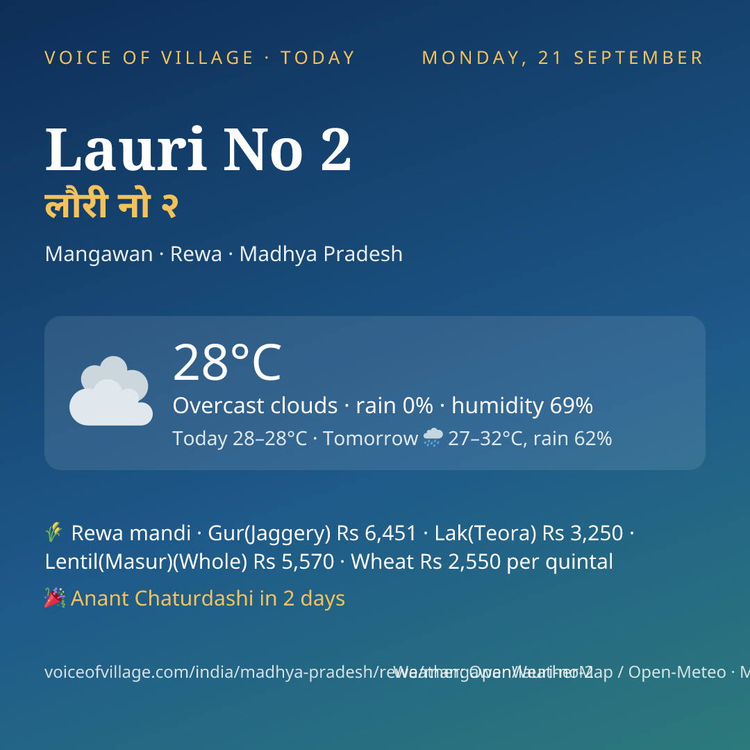 Lauri No 2 today