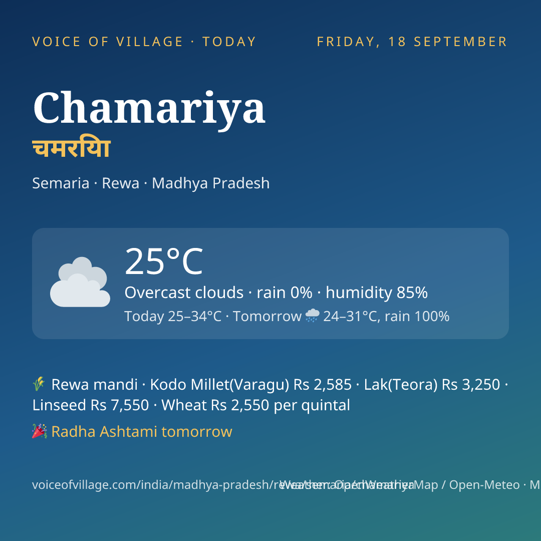 Chamariya today