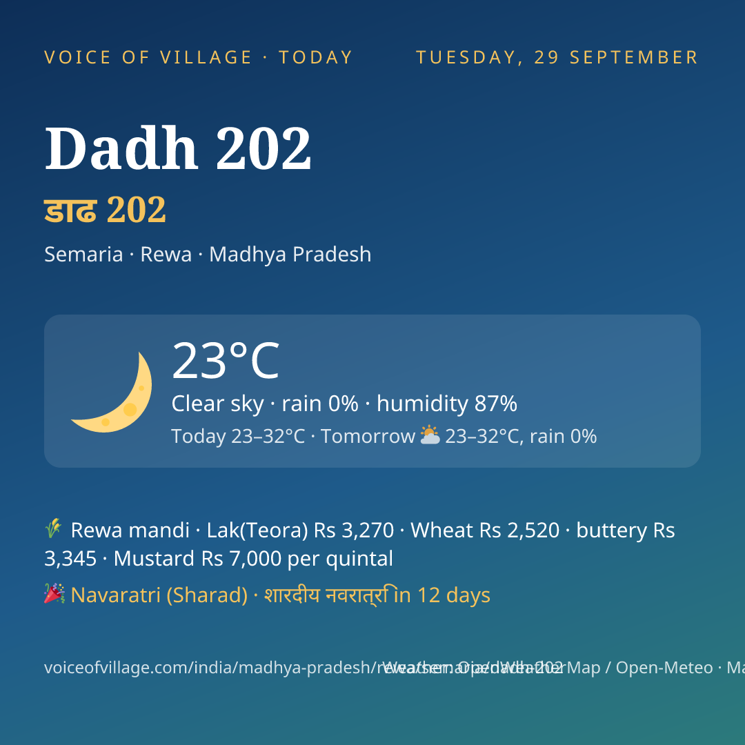 Dadh 202 today
