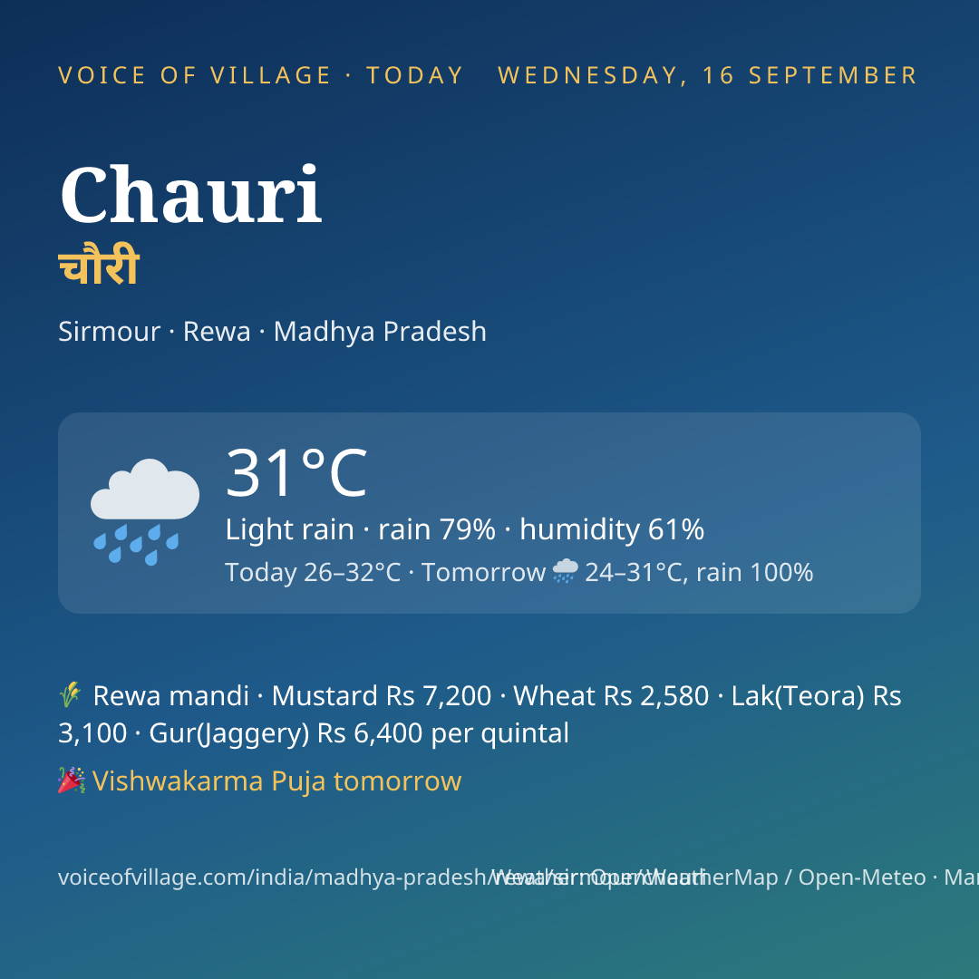 Chauri today