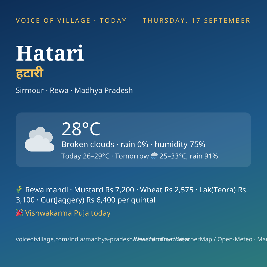 Hatari today