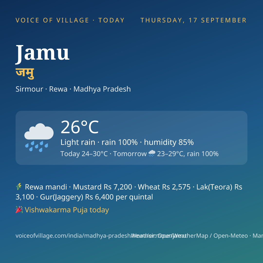 Jamu today