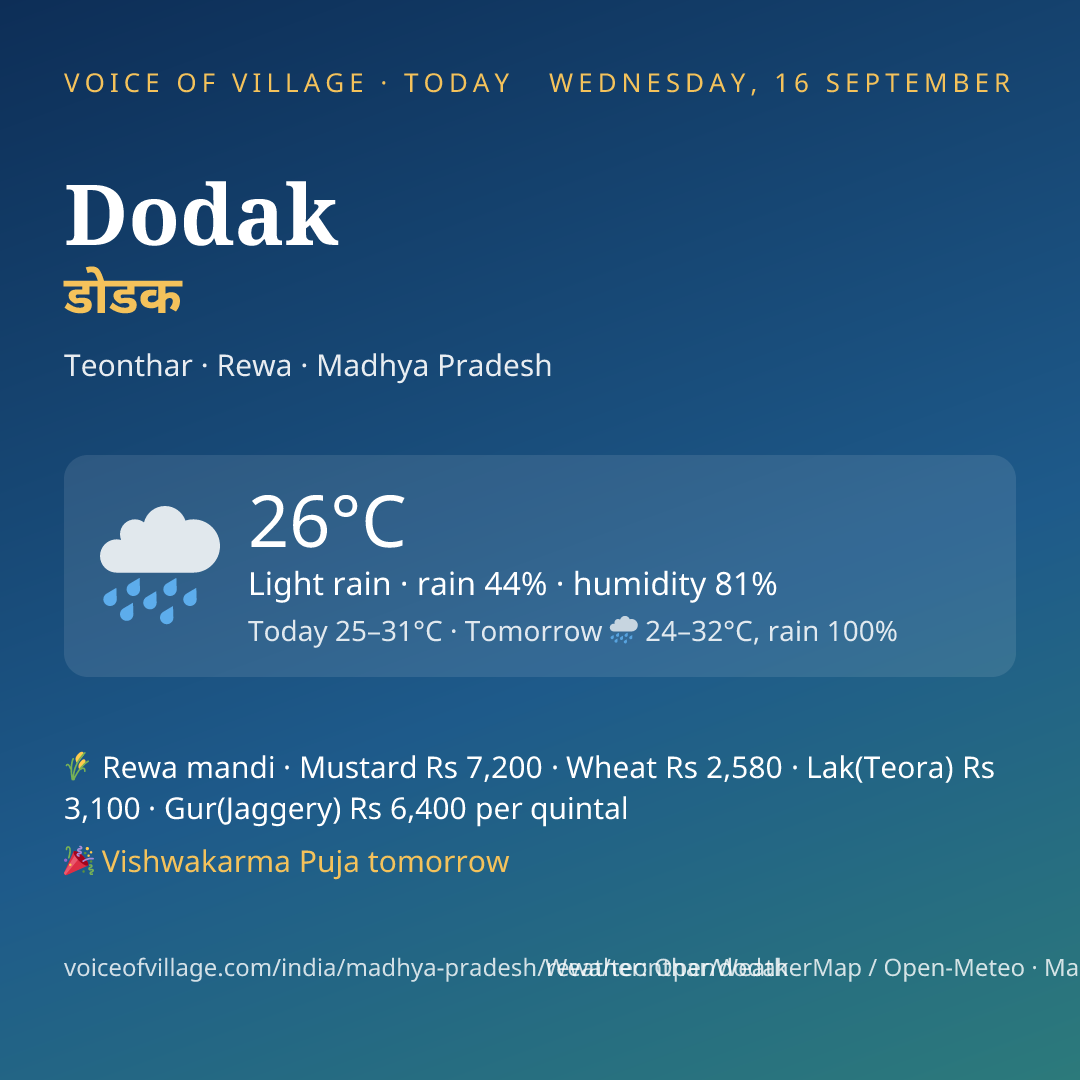 Dodak today