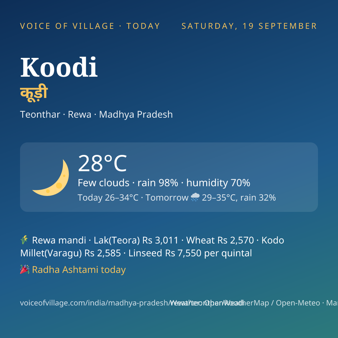 Koodi today