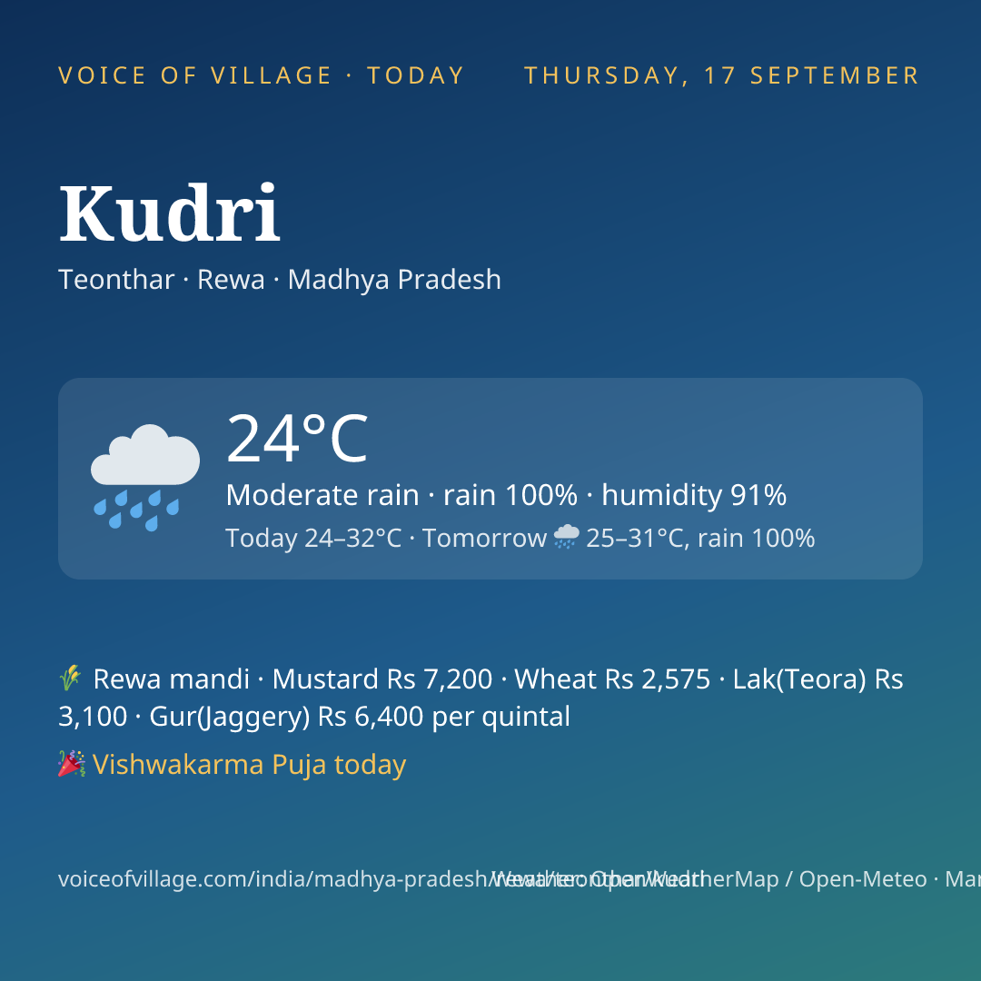 Kudri today