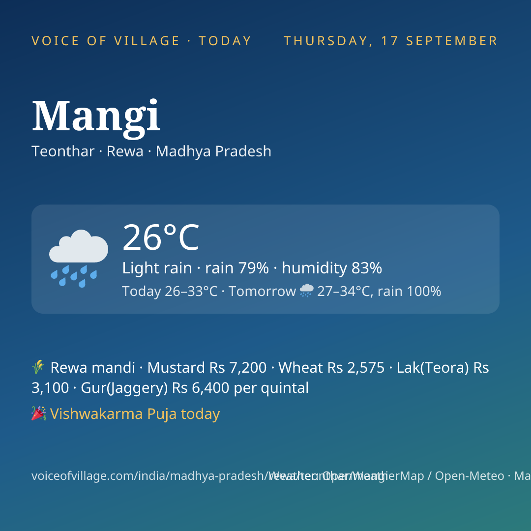 Mangi today