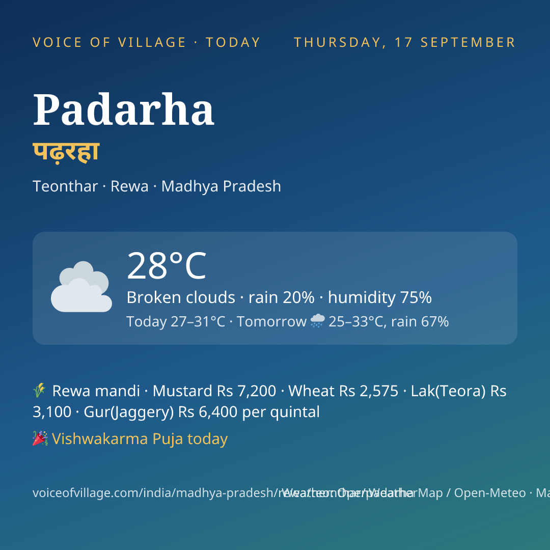 Padarha today