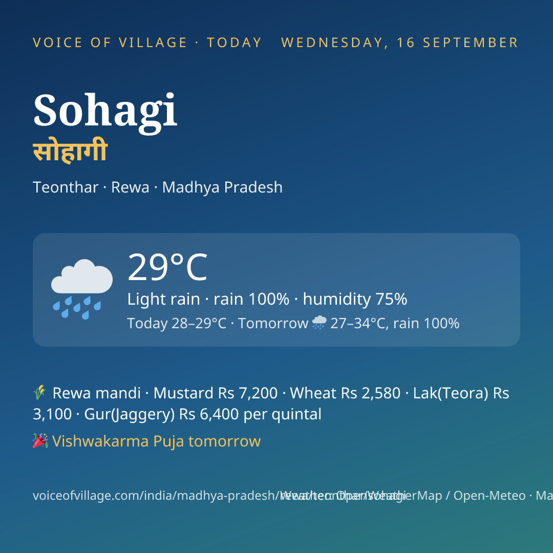 Sohagi today