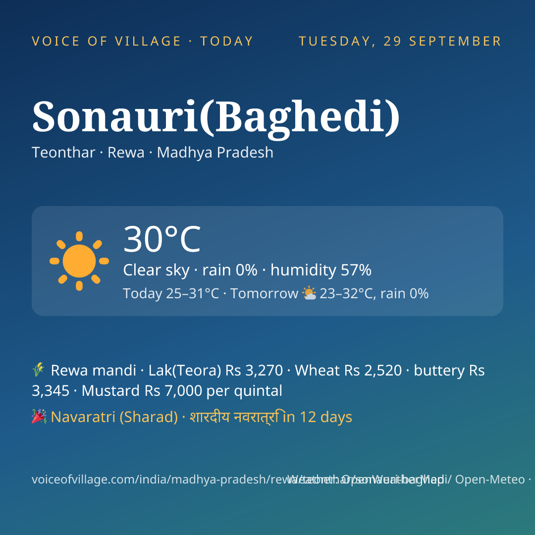 Sonauri(Baghedi) today
