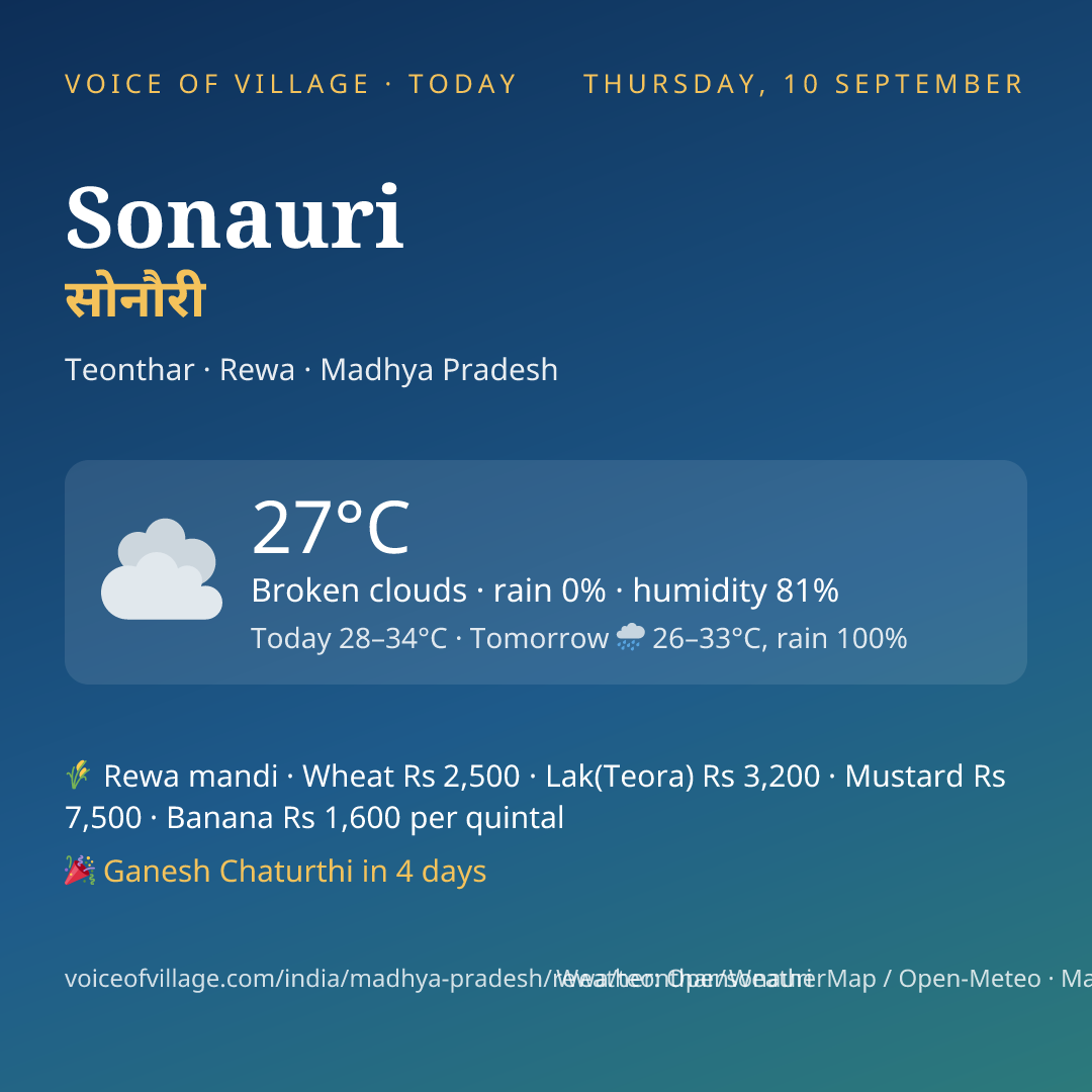 Sonauri today