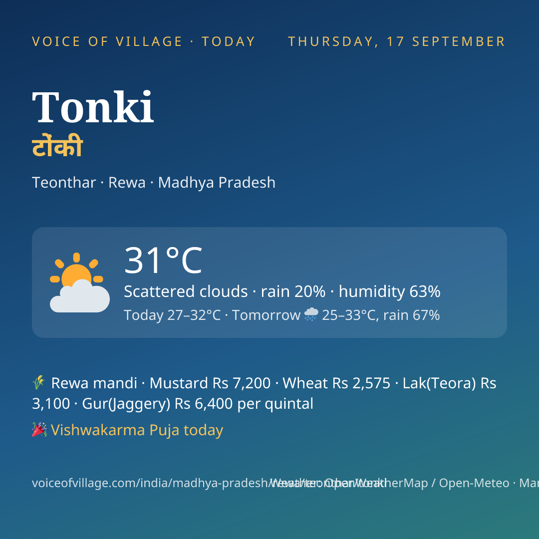 Tonki today