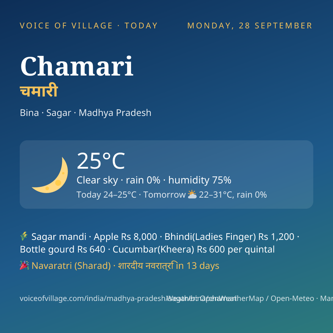 Chamari today