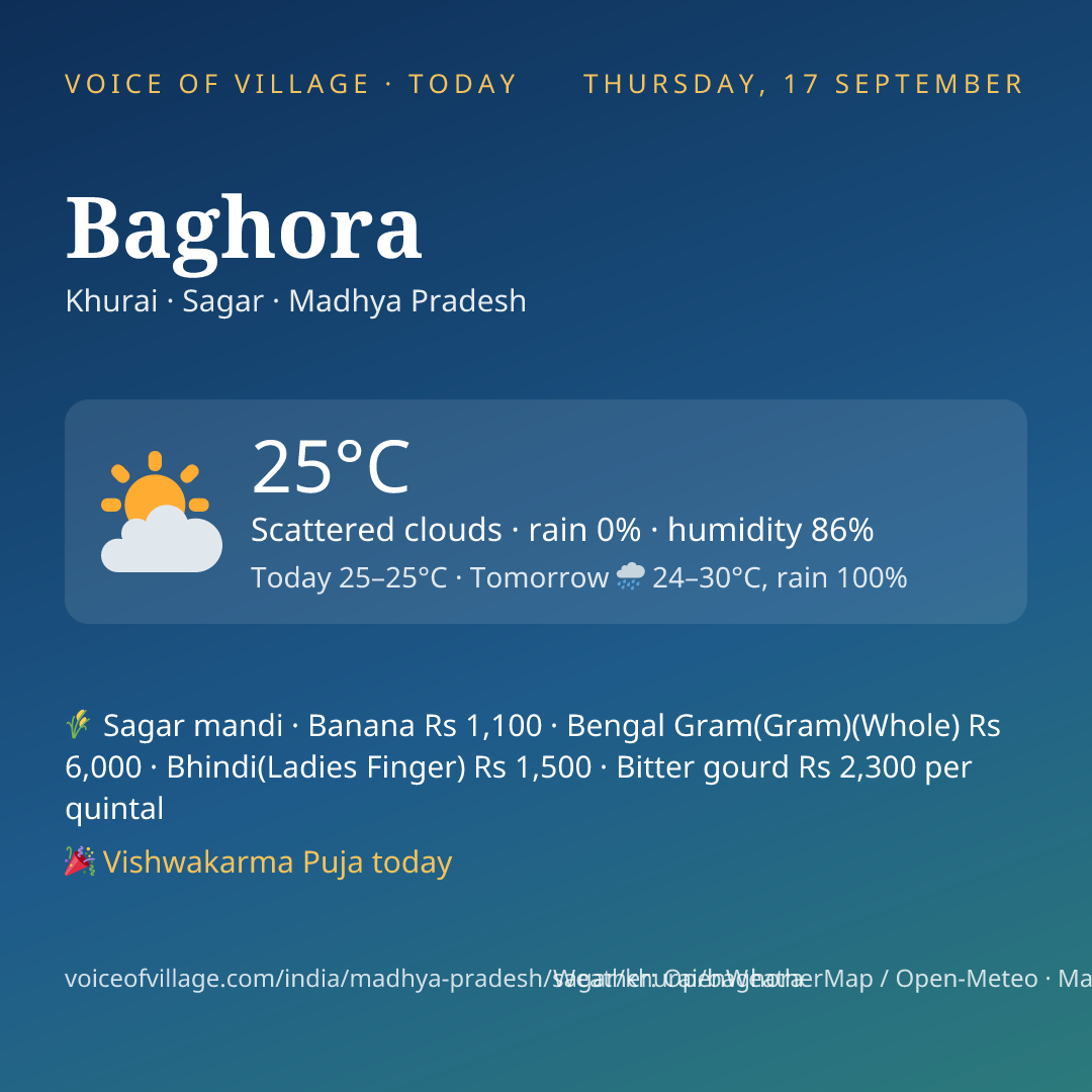 Baghora today