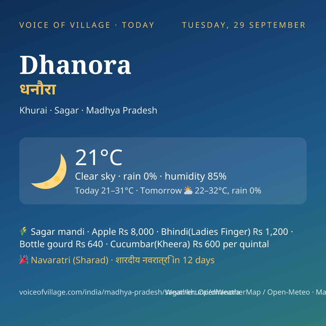 Dhanora today
